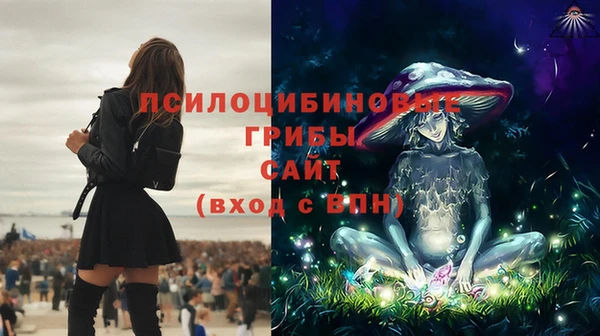 шишки Нягань