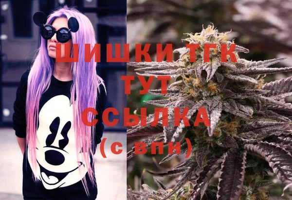гашик Балахна