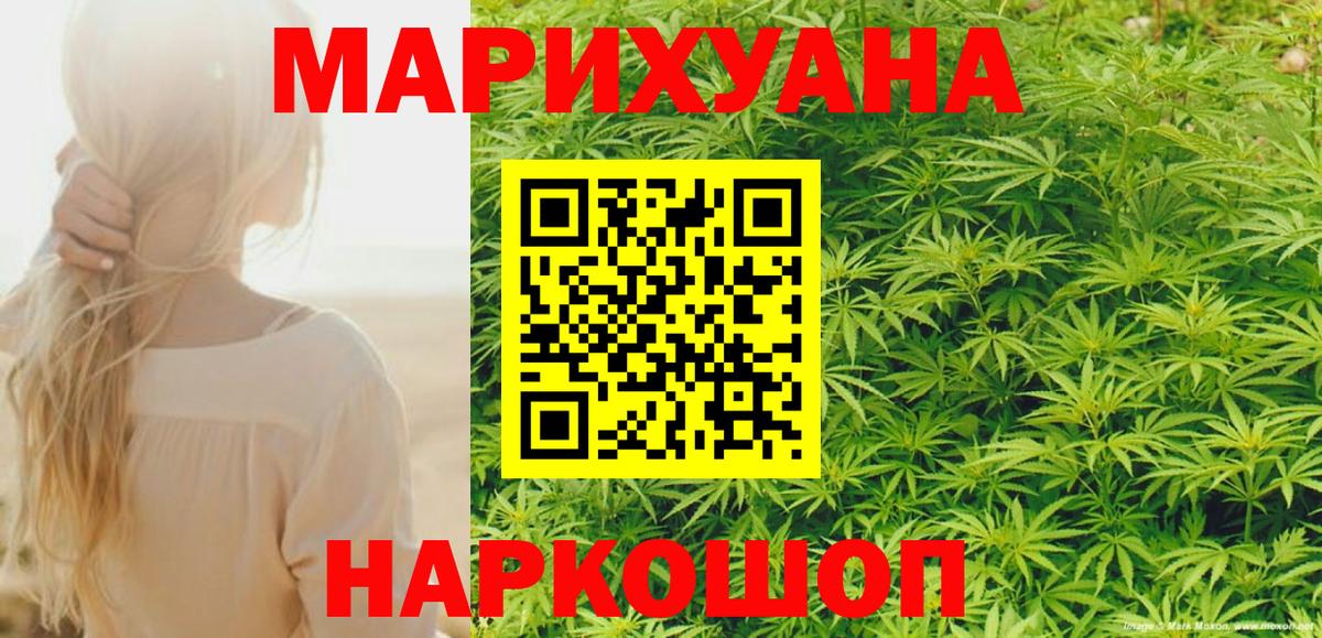 Конопля конопля Гудермес